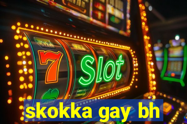 skokka gay bh